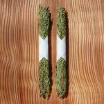 画像をギャラリービューアに読み込む, Hinoki (Japanese cypress)
